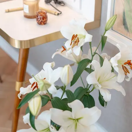 Willawawel - Loftaffair Collection Kraków